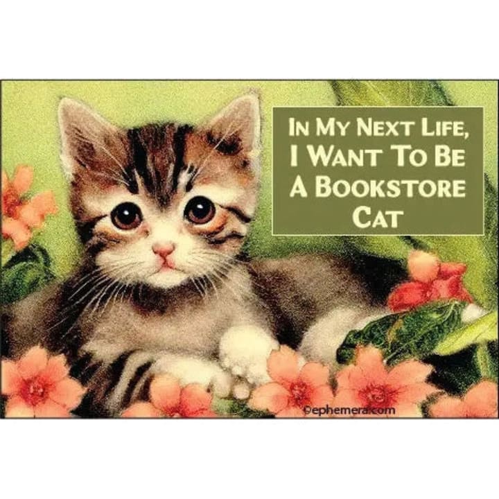 I Want To Be A Bookstore Cat Rectangular Fridge Magnet | 3" x 2"