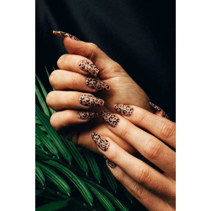 Wild Instinct Nailz | Press On Nail Kit Includes 24 Nails