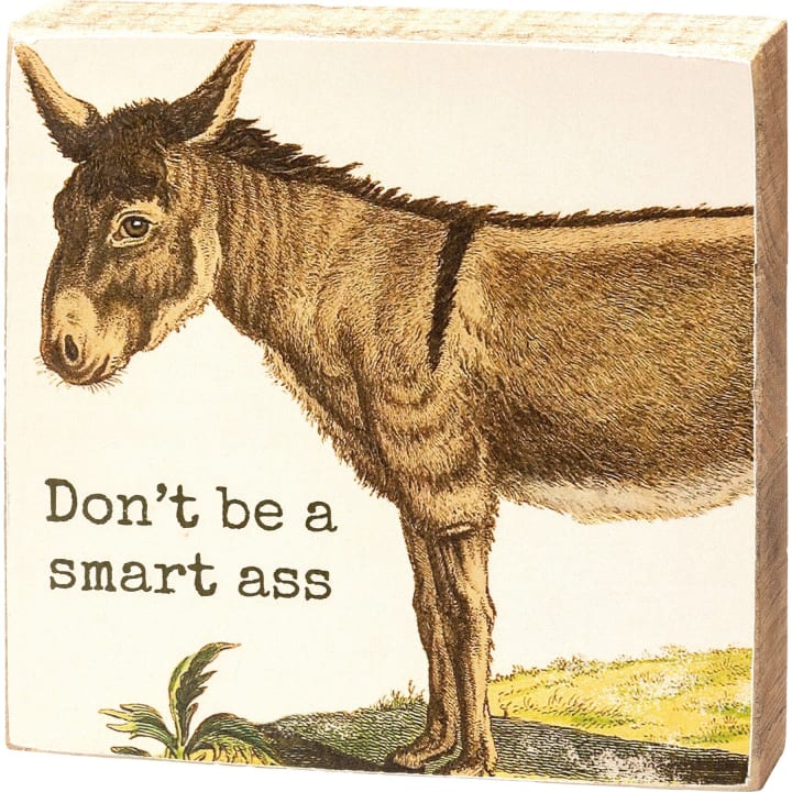 Don't Be A Smart Ass Block Sign | Square Wooden Box Sign |  4" x 4"