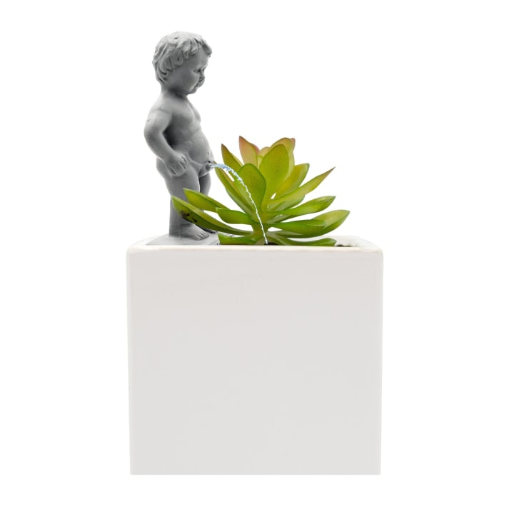 Plant Life Pee My Plants Mini Garden Statue | Make Watering Your Plant More Fun