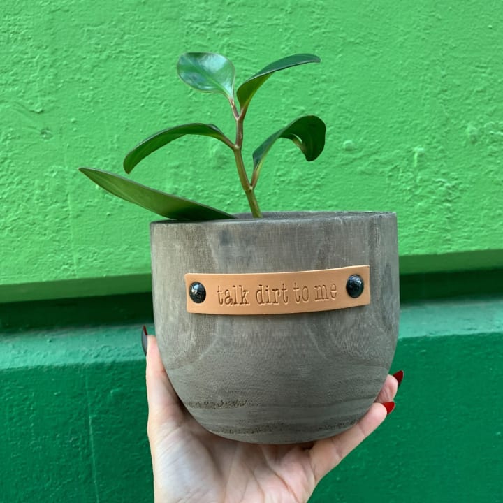 Talk Dirt To Me Paulownia Wood Planter | 5" Tall