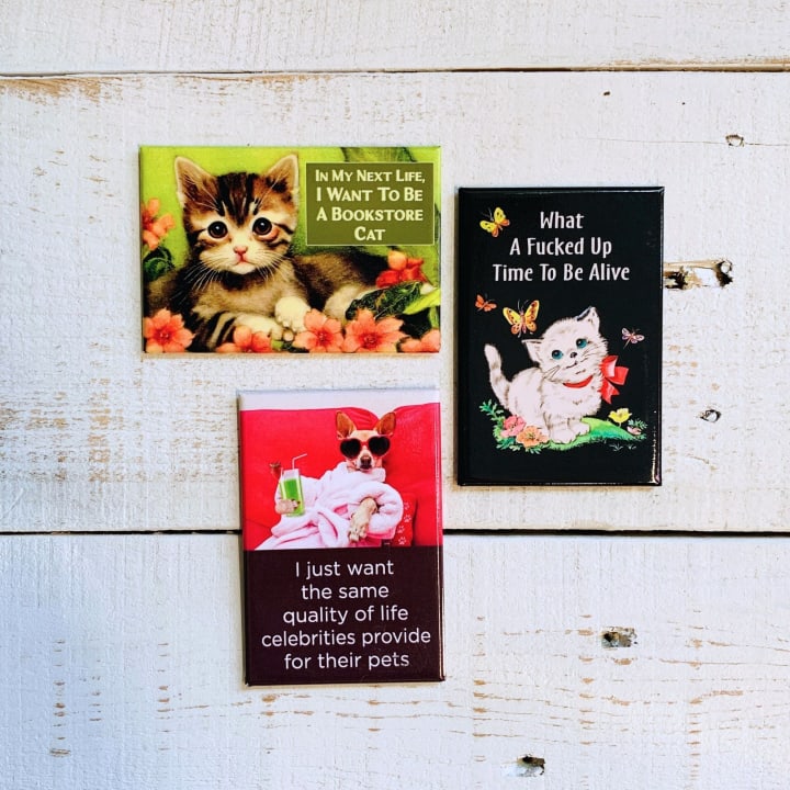 I Want To Be A Bookstore Cat Rectangular Fridge Magnet | 3" x 2"