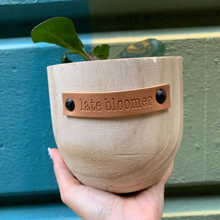 Late Bloomer Paulownia Wood Planter | 5" Tall