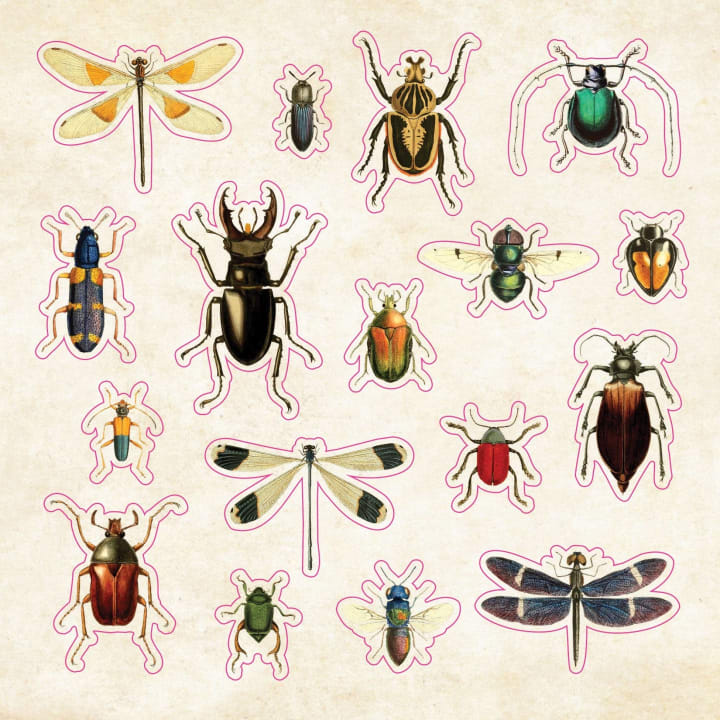 The Sticker Book of Curiosities | An Eclectic Compendium of Vintage Stickers | Over 750 Decals