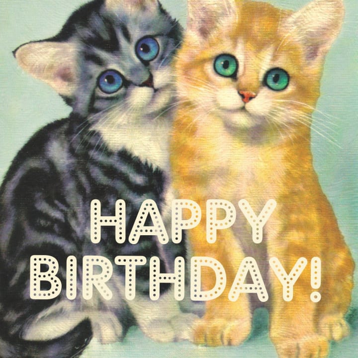 A**hole Cats Happy Birthday Card | Cute Kittens Greeting Card