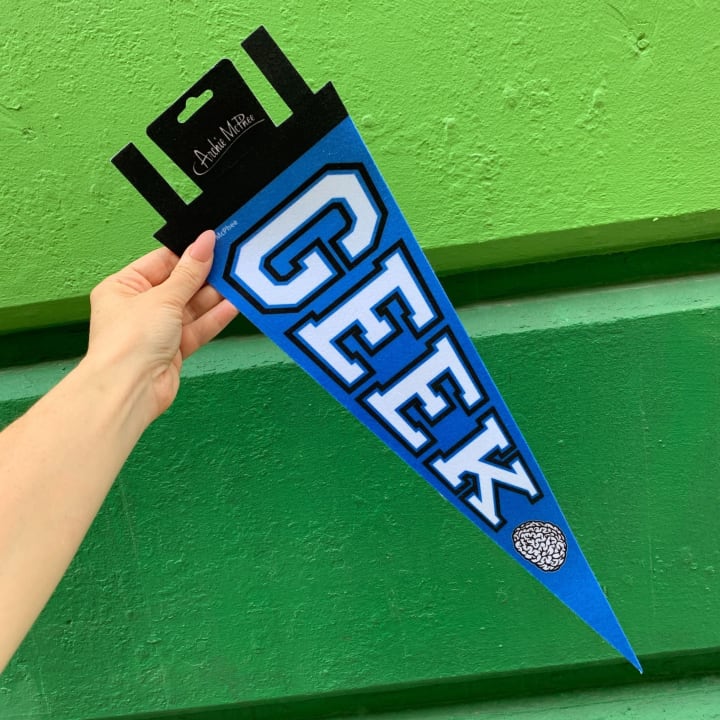 Geek Pennant Party Banner in Blue | 20" Felt Pennant