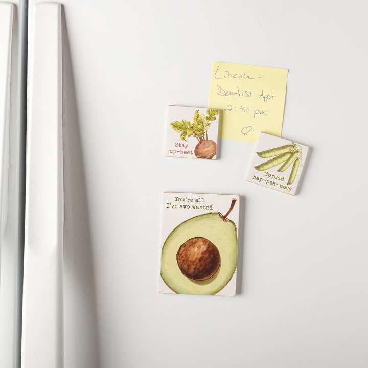 Veggie Puns Magnetic Memo Holder Set | 3 Magnets on a Metal Gift Backing