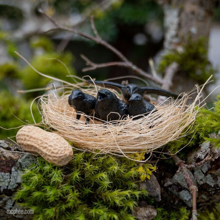 Murder of Crows Mini Figures | Set of 4 in a Funny Illustrated Box with Nest