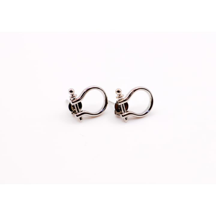 Whimsical White Gold Horseshoe Earrings