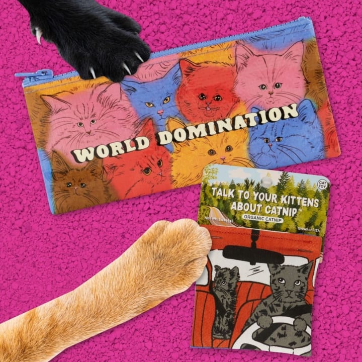 World Domination Cats Pencil Case | 4.25" x 8.5" | BlueQ at GetBullish
