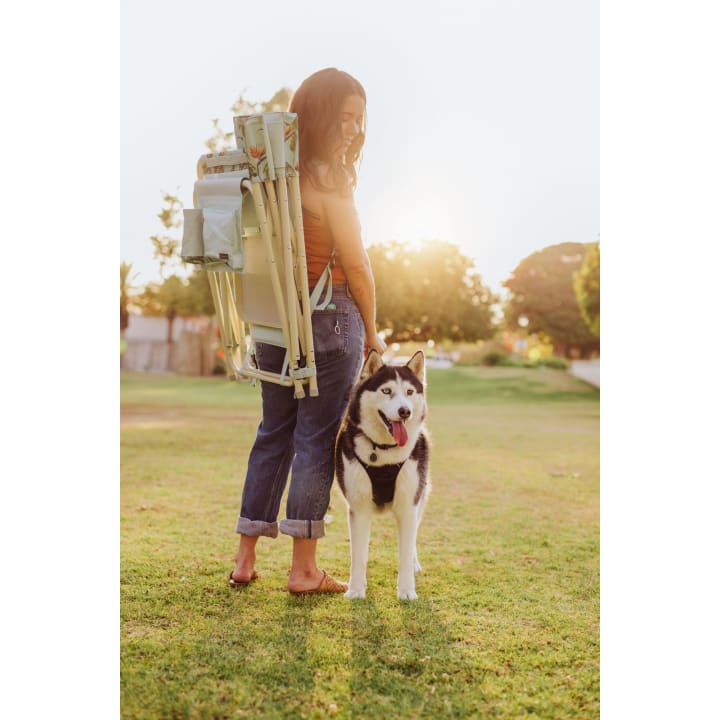 Outdoor Directors Folding Chair