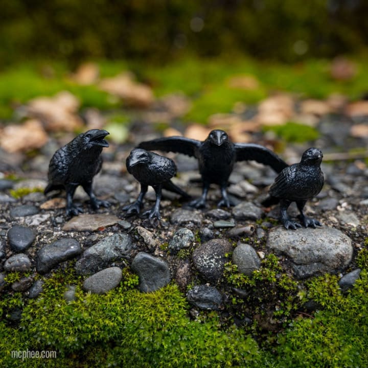 Murder of Crows Mini Figures | Set of 4 in a Funny Illustrated Box with Nest