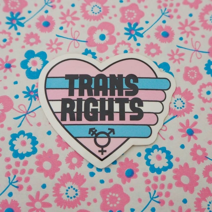 Trans Rights Vinyl Sticker