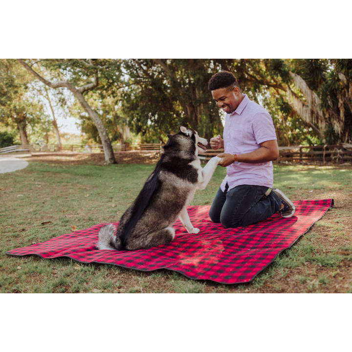 Blanket Tote Outdoor Picnic Blanket