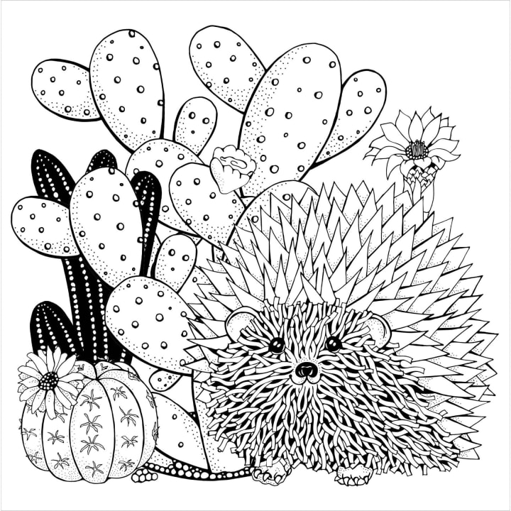 Succulents Adult Coloring Book | 31 Relaxing Plants Illustrations