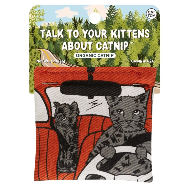 Talk To Your Kittens About Catnip Cat Toy | Premium Organic Catnip | Illustrated Cotton Pouch | BlueQ at GetBullish