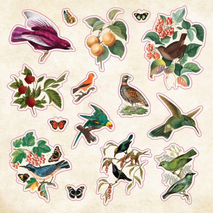 The Sticker Book of Curiosities | An Eclectic Compendium of Vintage Stickers | Over 750 Decals