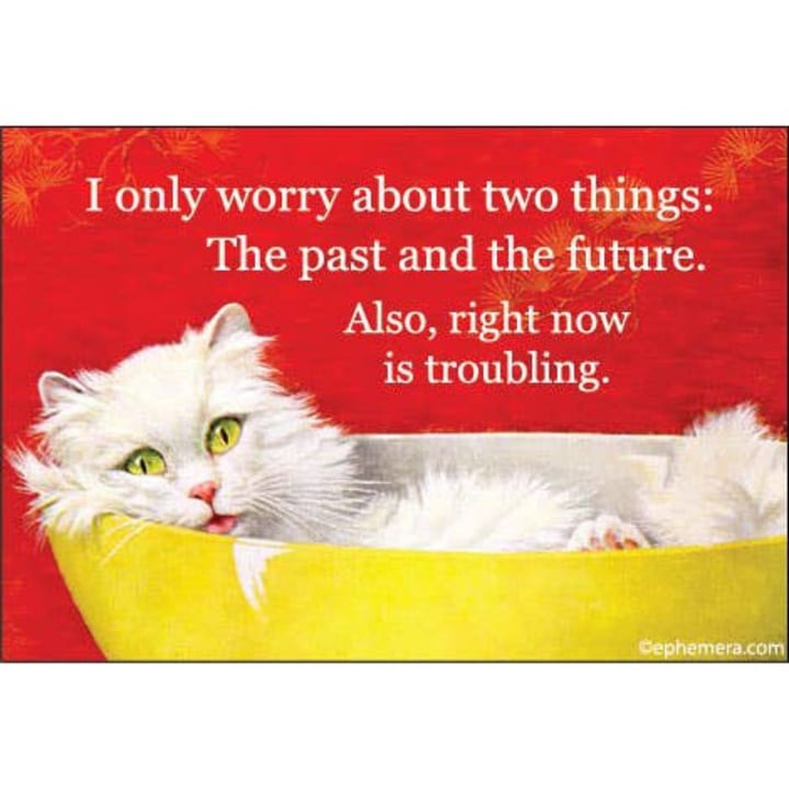 I Only Worry About Two Things: Past And Future Rectangular Fridge Magnet | Cute White Cat | 3" x 2"