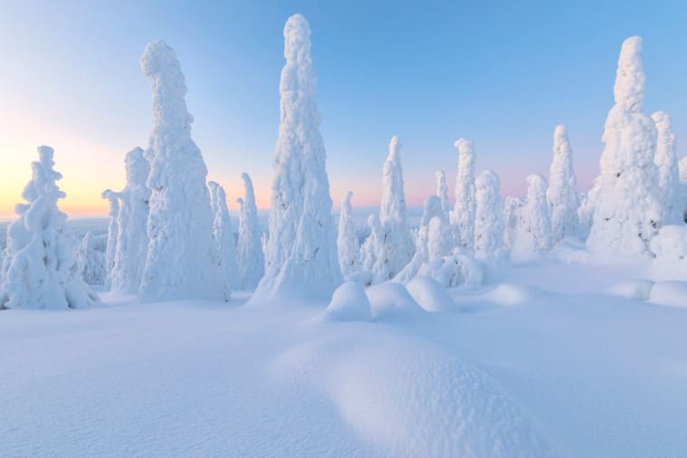 Watch Lapland's national park transform into a winter wonderland