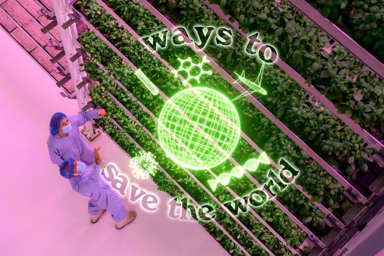 Could vertical farms turn our world upside down?