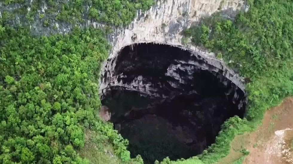 scientists discover huge sinkhole with stunning ancient forest growing inside