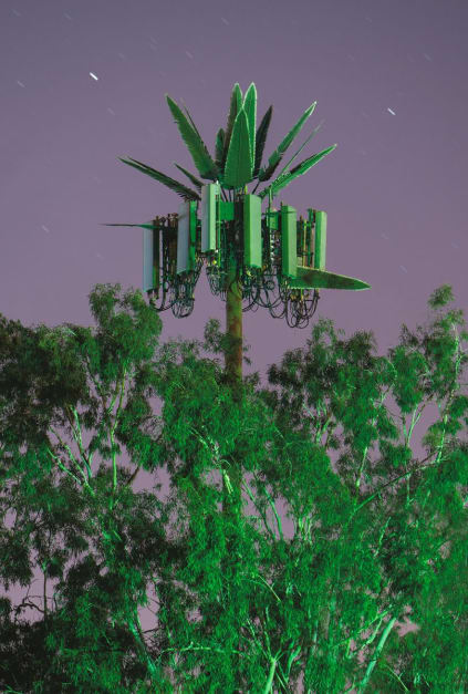 Bizarre photos of cell phone towers mounted in the Californian landscape