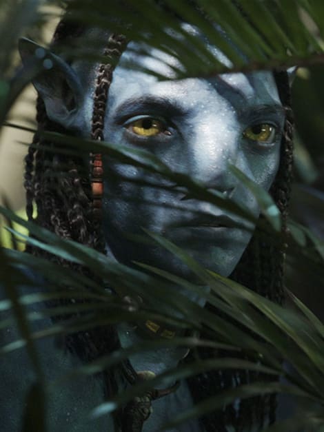 What is Avatar: The Way of Water really about? 