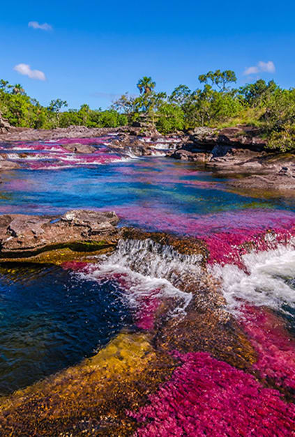 This Colombian river is giving colours