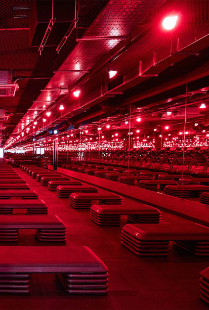 I Tried The Infamous Workout At Barry’s Bootcamp - Is It Right For Beginners?