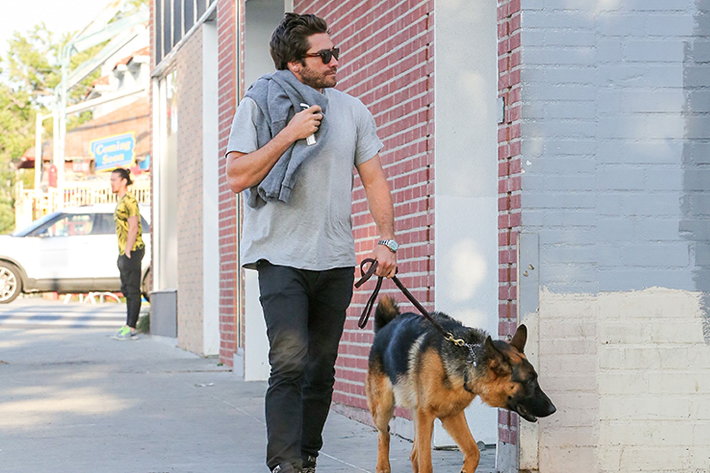Dogs can help insecure attachers find love, kind of