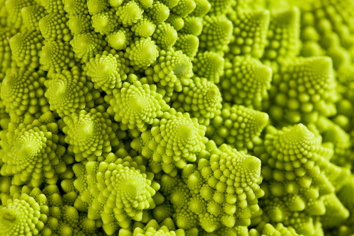 Romanesco broccoli - Vitamin K